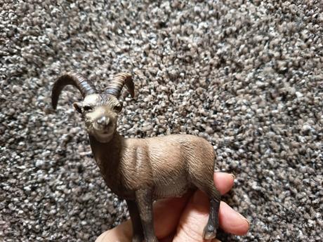 Schleich kozorozec,