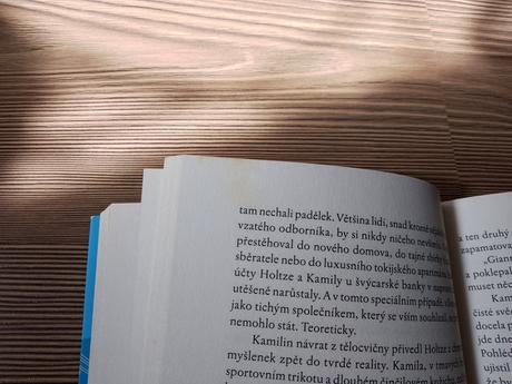 Peter mayle - honba za cézannem, 