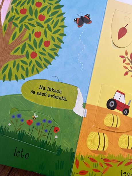 2x obrazkova kniha svojtka, 