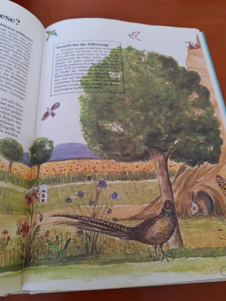 Naturbuch, 