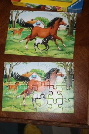 Puzzle koník 24, 