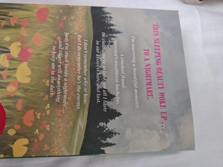 Kniha my dark prince,