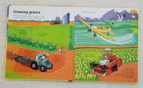 Usborne - big book of english words, food,