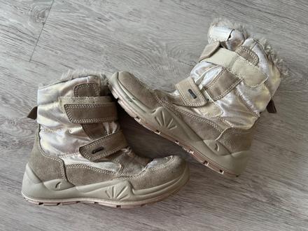 Snehule primigi, primigi,37