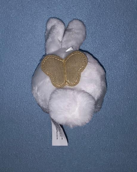 Rainbocorns bunnycorn,