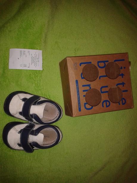 Topánky little blue lamb, little blue lamb,25