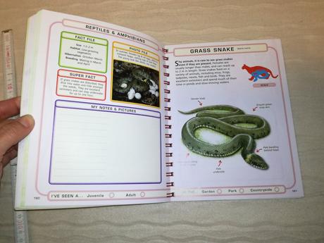 British wildlife detectives' handbook su19, 