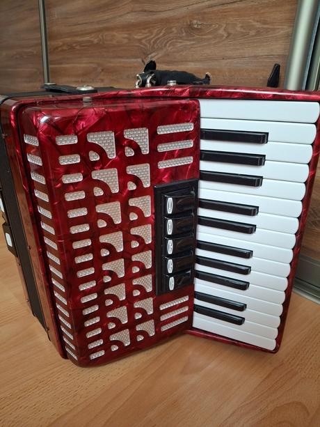 Akordeón delicia junior 23 - 72 bas.,