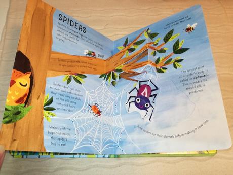 Curious kids pop ups bugs & minibeasts nau20, 