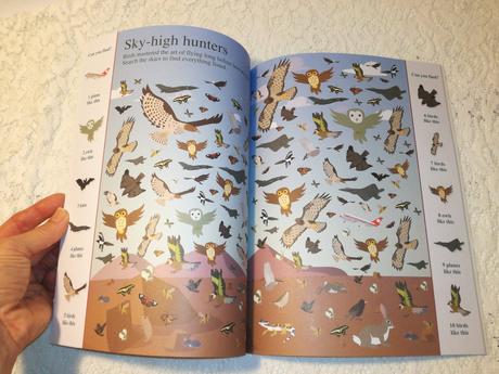 Search and find animals nau22, 