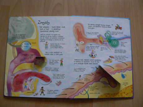 Pozri sa dovnútra svojho tela, 