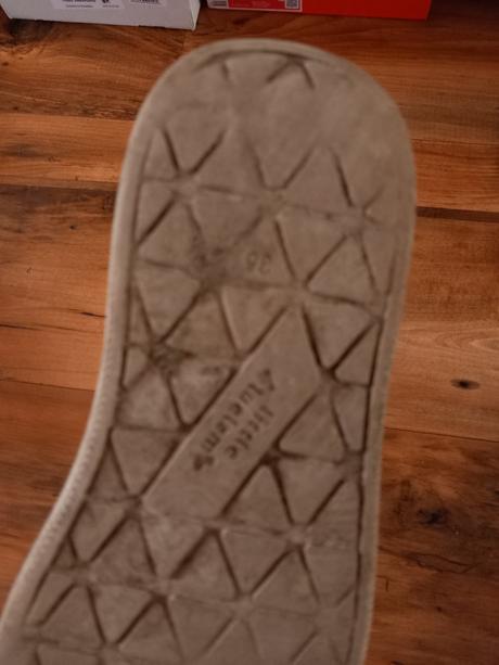 Little blue lamb prechodne, little blue lamb,35