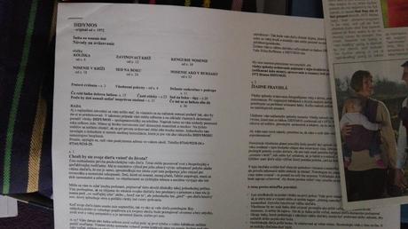 Šatka didymos 6, didymos