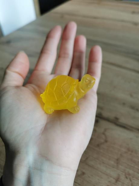 Minimydlá korytnačky, 