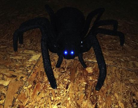 Obrovský chlpatý pavúk na diaľkové ovládanie, 