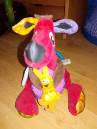 Pestrofarebný klokan,