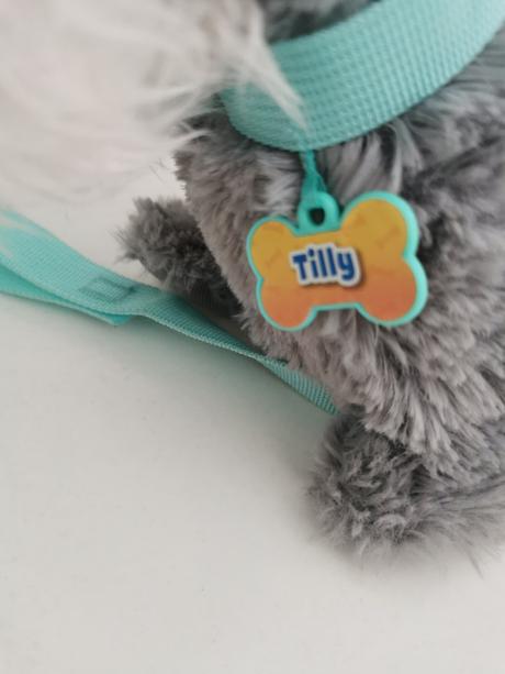 Chodiaci a stekajuci psik tilly, 