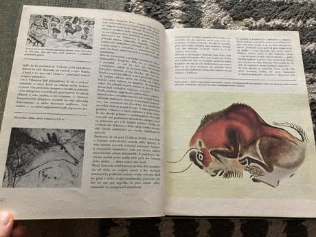 Cesta za adamom (1983), 