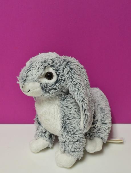 Zajac plyšový, 