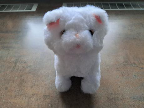 Interaktívna mačka, 