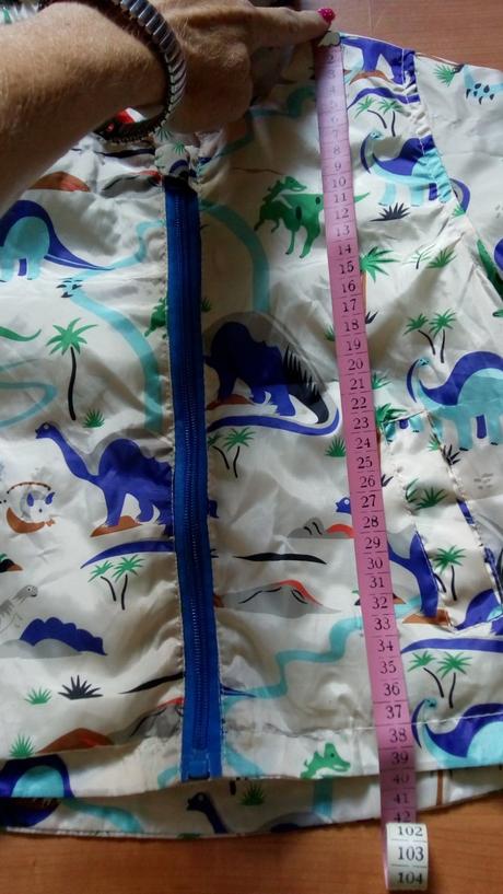 Bundička dinosaurus, 98