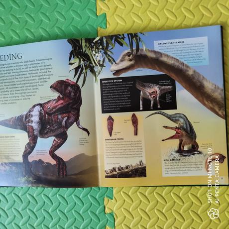 Dinosaur 3d guide - 4b, 
