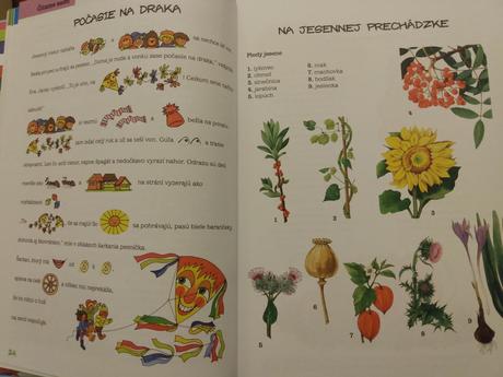 Ottova veľká kniha prvák, 