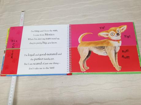 Nosy crow flip flap dogs sp20,