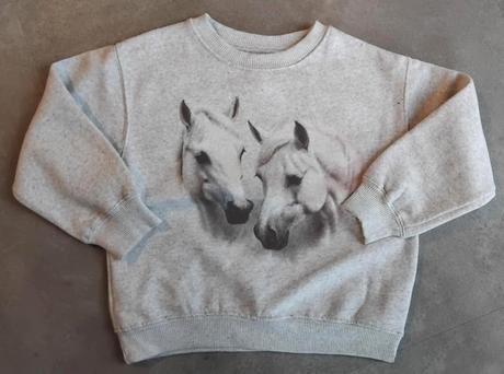 Dievčenská mikina zara, zara,116