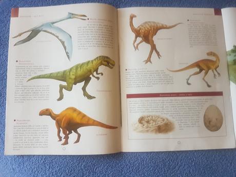 Náučná brožúra /kniha o  dinosauroch, 