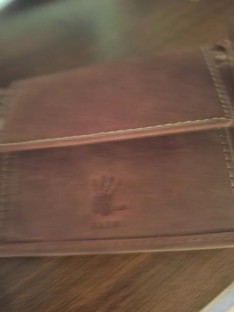 Panska penazenka nova, 