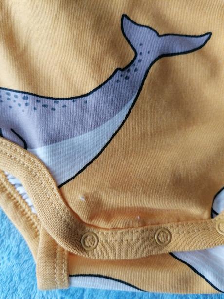 Body veľryby, lindex,62