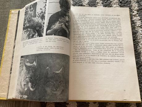 Živé poklady prvé vydanie 1963,
