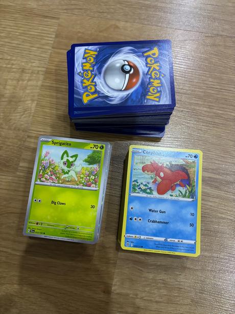 Pokémon karty,