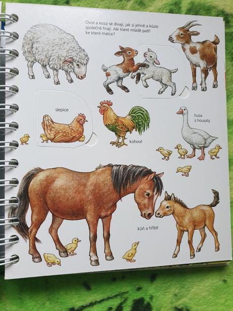 Môj prvý atlas zvierat - okienková knižka,