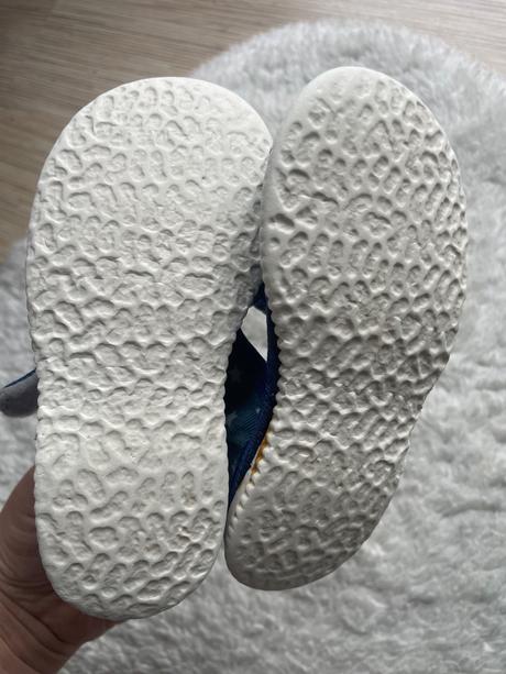 Modre hviezdickove papucky rak, rak,23