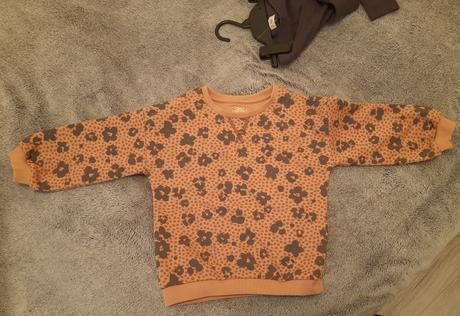 Predam domacu supravu, f&f,104