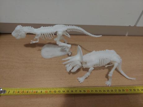 Kostry dinosaurus 2x fosforeskujuce,