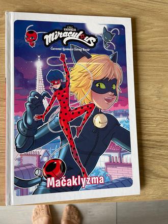 Čarovna lienka a čierny kocur komix 2 ks,