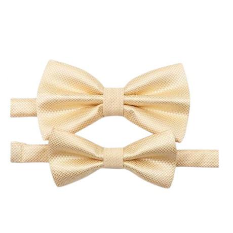 Set otec a syn - pánsky a detský saténový motýlik, 