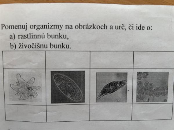 Ako vyriešiť domácu úlohu z biológie?
