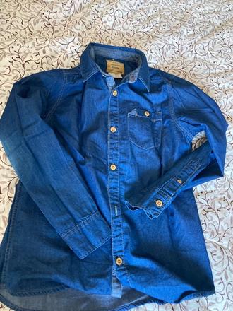 Riflova kosela, zara,152