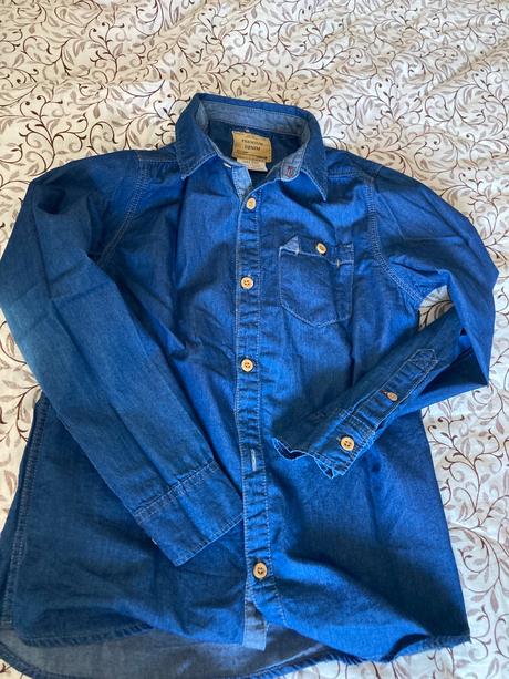 Riflova kosela, zara,152