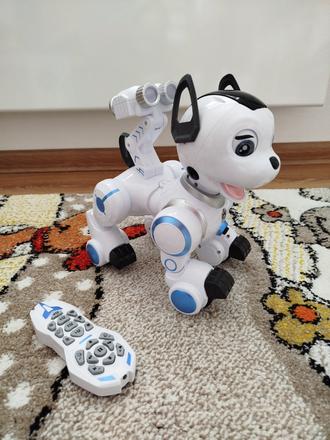 Interaktivny robopes wiky,