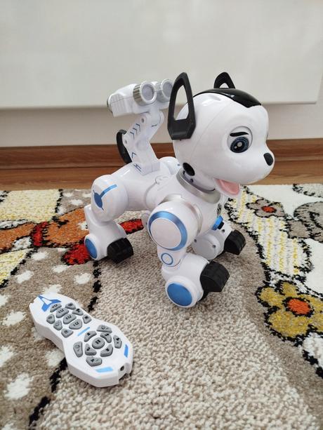 Interaktivny robopes wiky, 