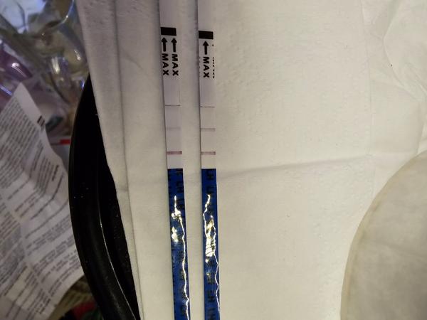 Prebehla mi včera naozaj ovulácia?