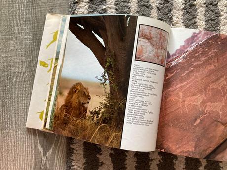 Lev nie je kráľom zvierat (1988),