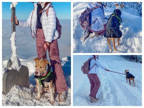 Vetrovka na zimu / turistiku, h&m,xs