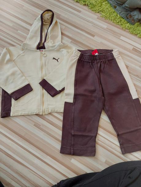 Súprava, puma,86