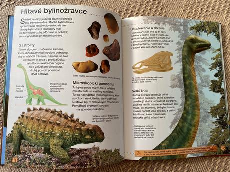 Krásna kniha dinosaury rachel firth, 